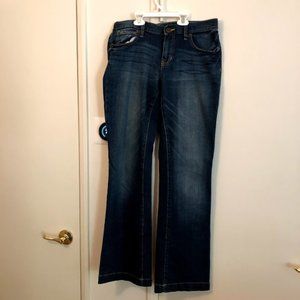 Gap Premium Long and Lean Jeans